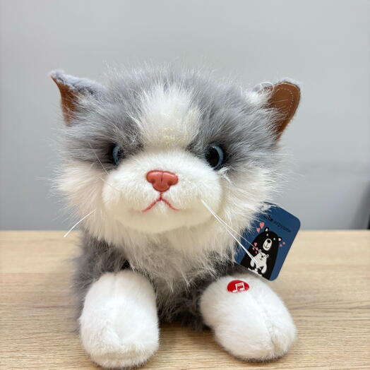 Мягкий кот