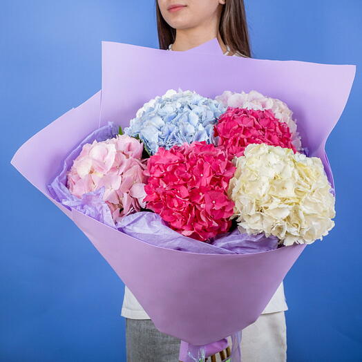 Букет из 7 микс Гортензий 💐