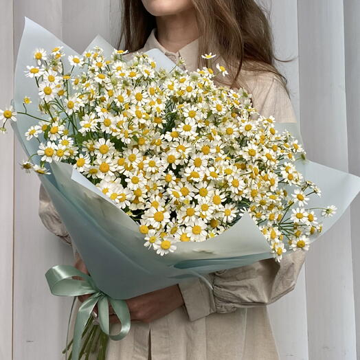 💛Букет кустовых ромашек в пленке 15 шт