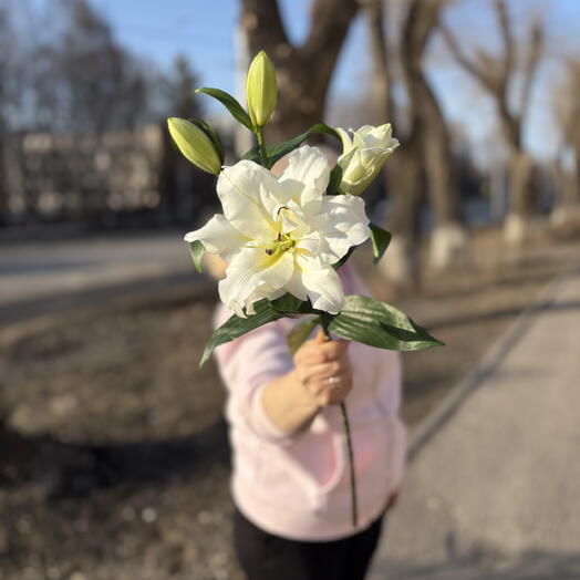 Лилия