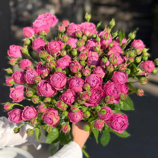 Кустовая Роза розовая 💐