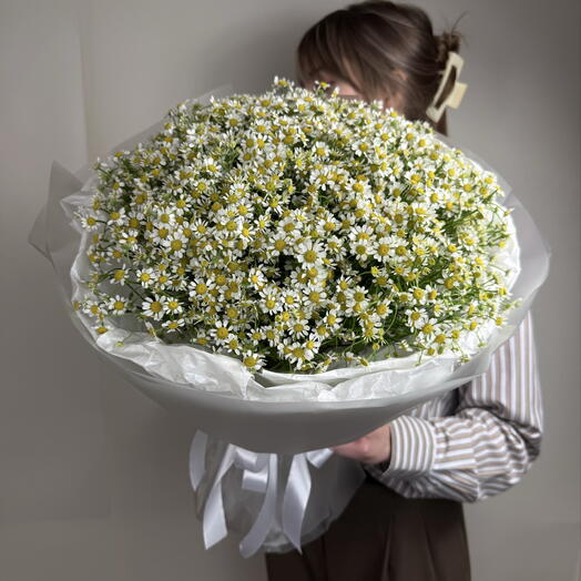 Монобукет из матрикарии (ромашек) 25 шт из Голландии