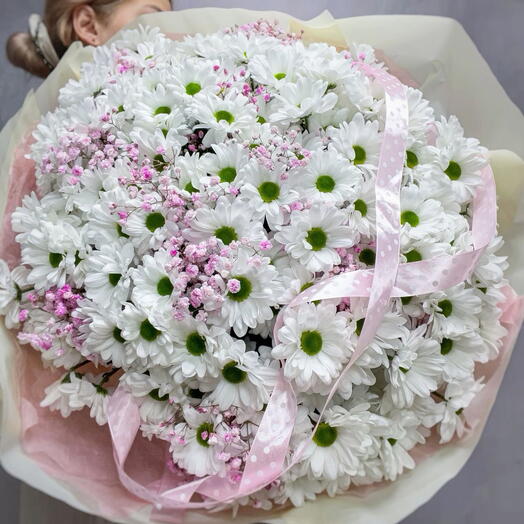 Хризантемы ромашковые💖