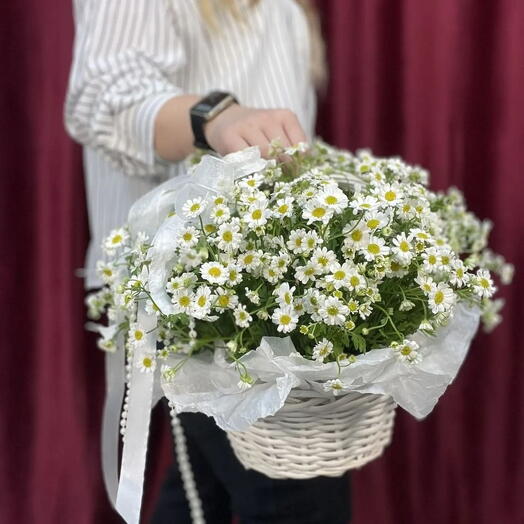 Средняя корзина ромашек
