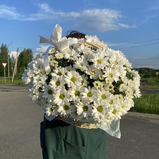 Корзина ромашек