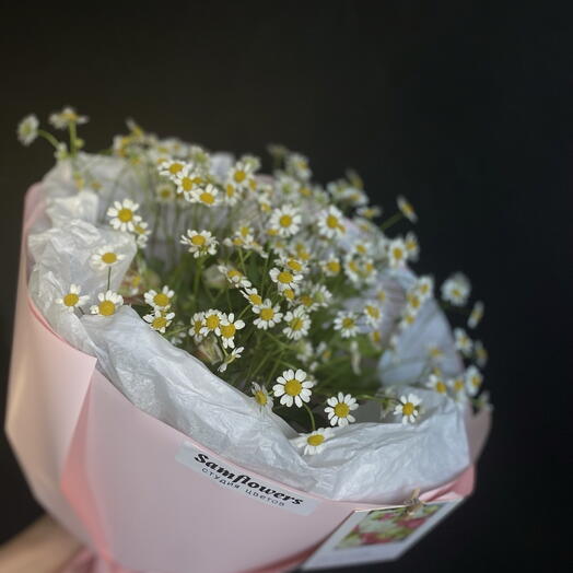 Bouquet of summer daisies