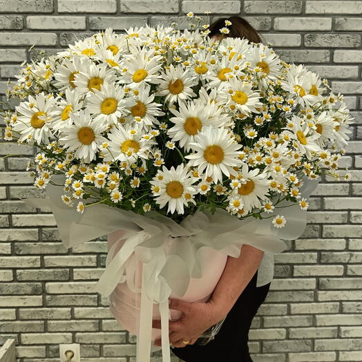 Композиция Ромашковое поле 🌿