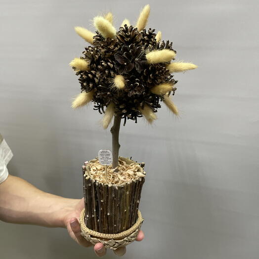 Дерево желаний