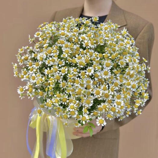 Helly Flowers