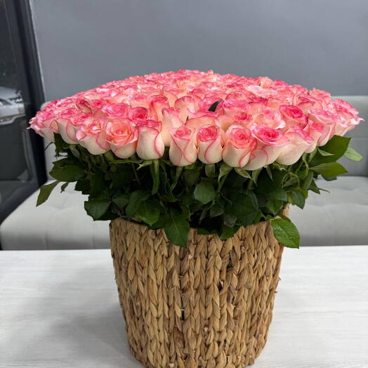Maison Roses️