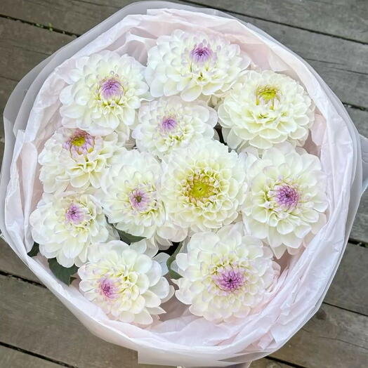 Букет из 11 георгинов 💜