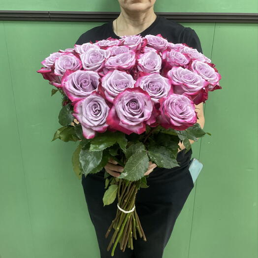 Роза Дипперпл25 шт