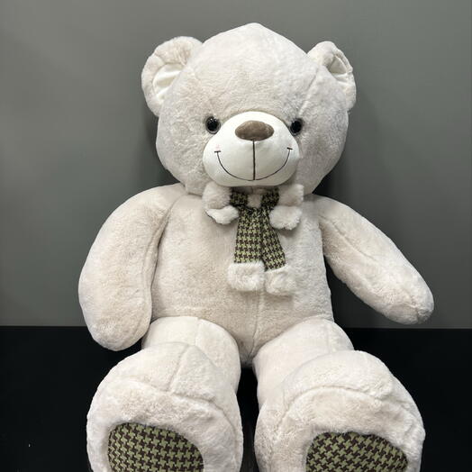 Bear 90