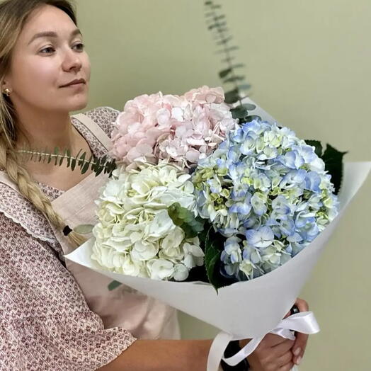 Букет из 3 шт. Разноцветных гортензий ( розового, голубого и белого цвета) с ароматным эвкалиптом 2 шт