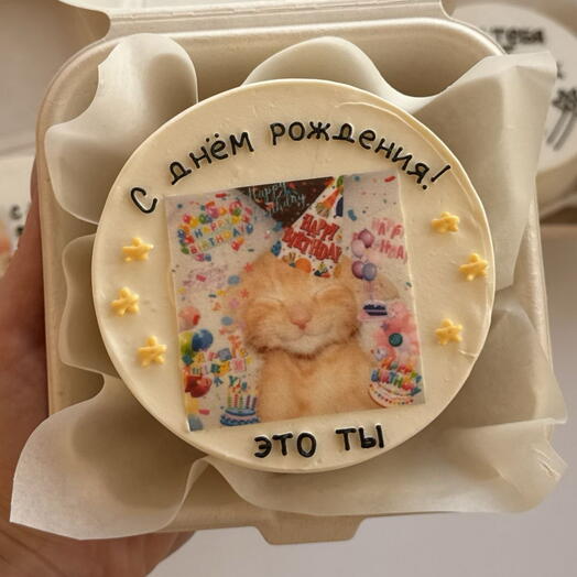 Бенто торт с котиком ко Дню рождения