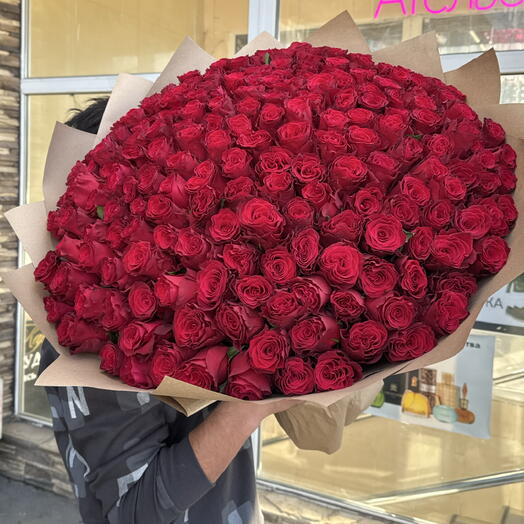 Крупная бордовая Роза 🌹