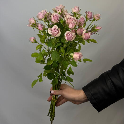 Пачка Роза кустовая сиреневая (10 шт)