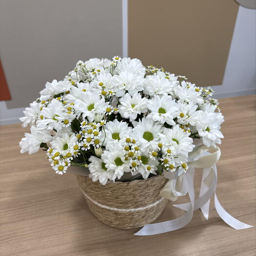 Ромашковое поле «композиция с ромашками»