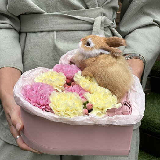 Банни