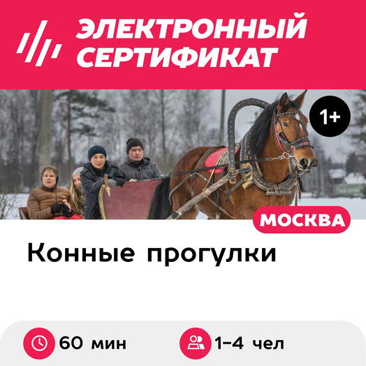 Подарочный сертификат Катание в одноконном экипаже или в санях (60 мин.) (Московская область)