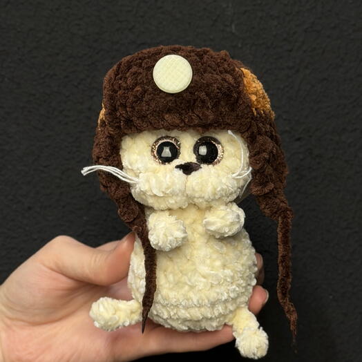Кот белый в шапке
