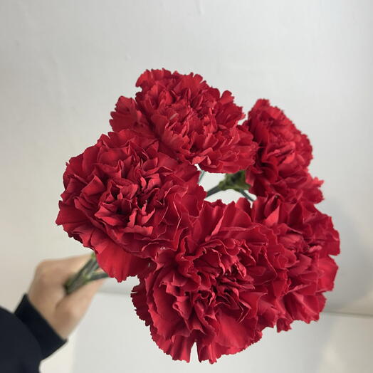 Букет из красных гвоздик 5
