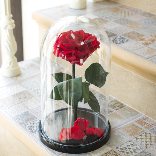 Stabilized rose in the flask