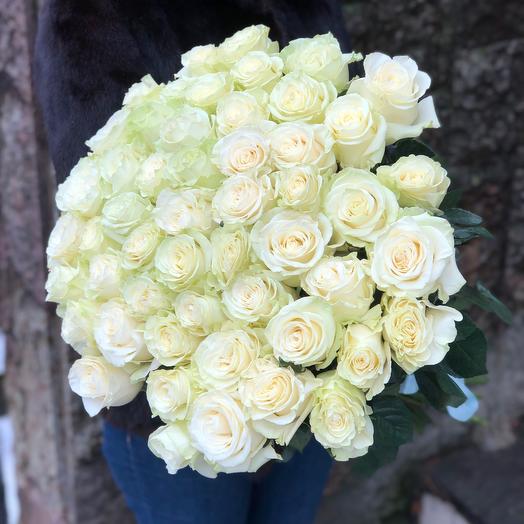 Rosa Ecuador blanco variedades Mondial