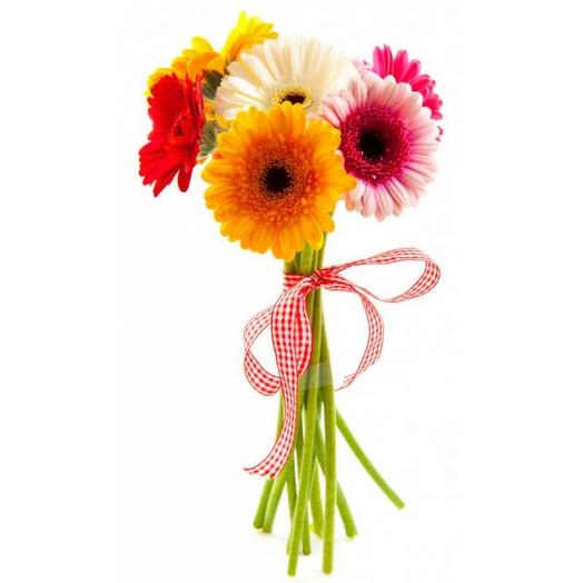 7 colorful gerberas
