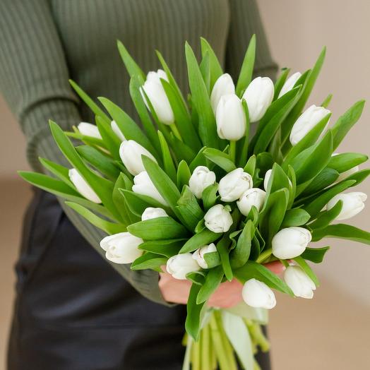 Белоснежные тюльпаны