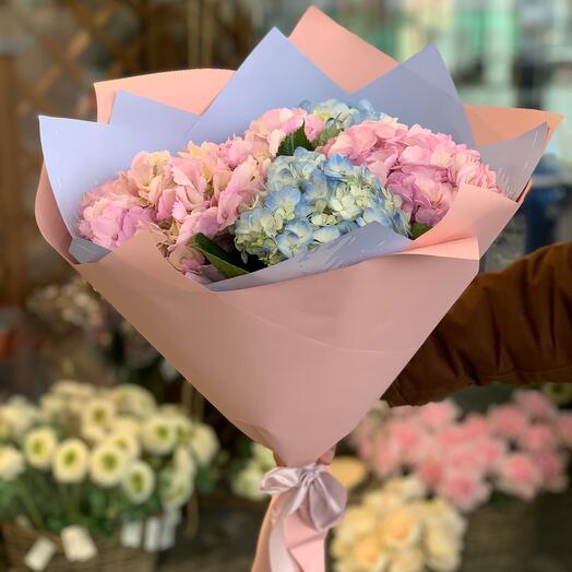 Букет 💖 «Гортензия Колумбия»