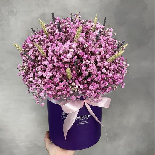 The box of gypsophila