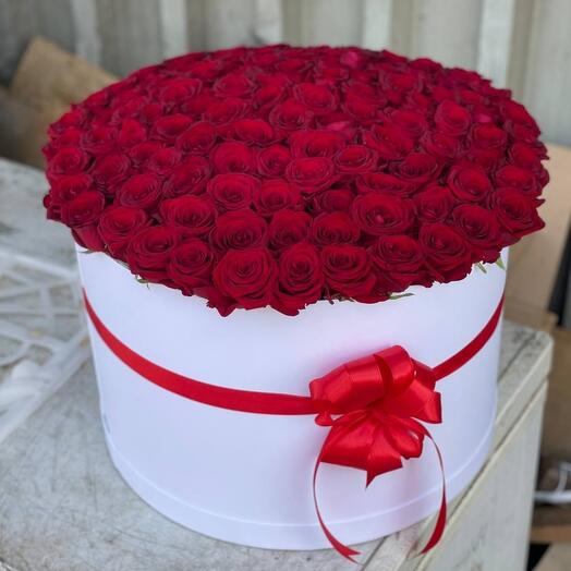 101 red roses in a box
