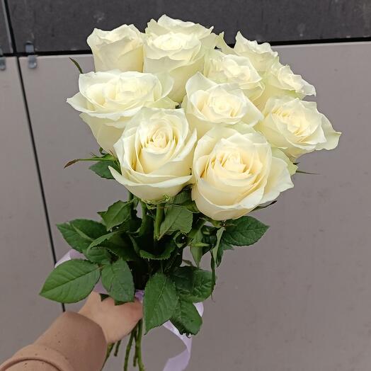 11 white roses