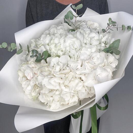 Hortensias blancas