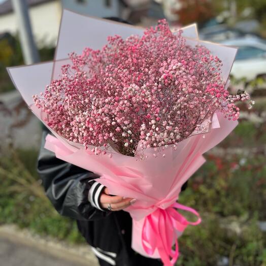 Gypsophila rosa