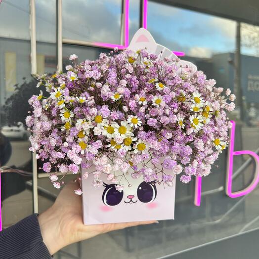Gypsophila con margaritas en una Caja