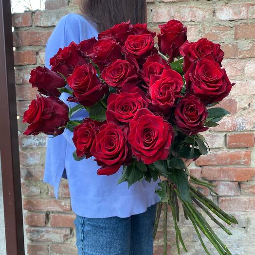 21 high rose
