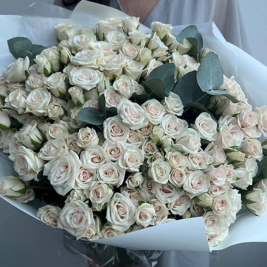 35 cream bush roses (bouquet N20)