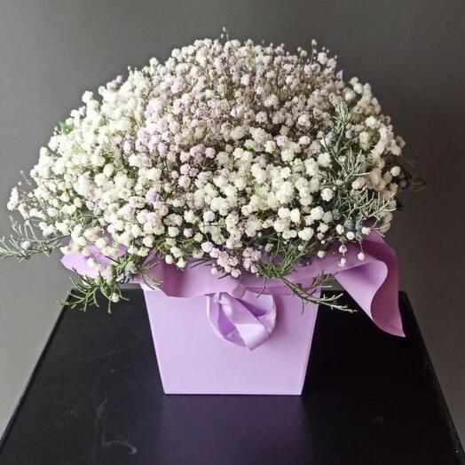 Flowers in a box "lavender"