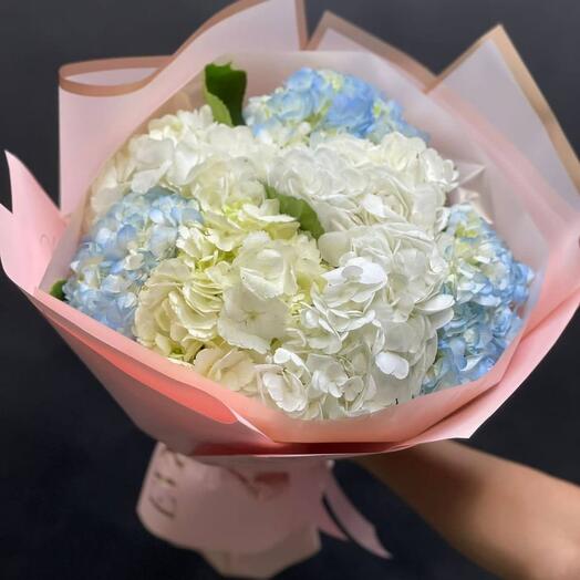 Hydrangeas mix