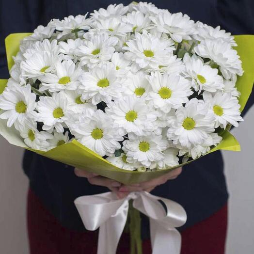 9 white chamomile chrysanthemums