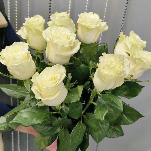 9 rosas blancas Ecuador 70 cm