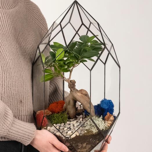 Florarium bonsai Fabergé