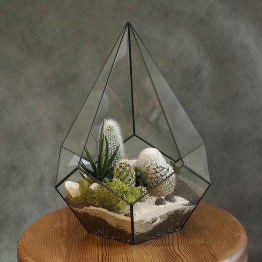 Micro world