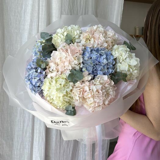 Ramo de 13 hortensias "Mix"