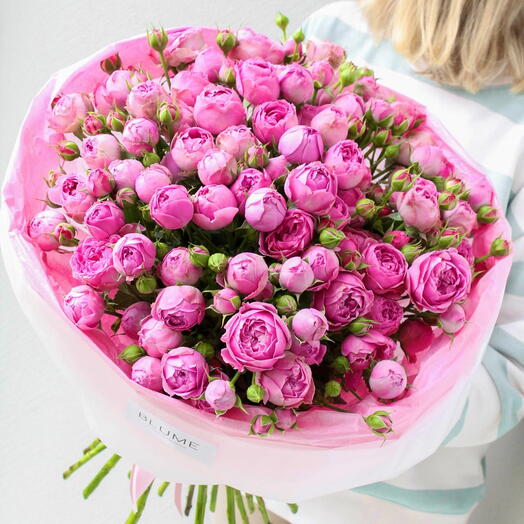 Gran Monobook de elegantes rosas de peonía