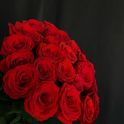 Коралловый моно