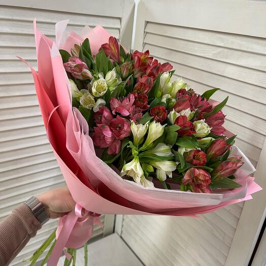Alstroemeria