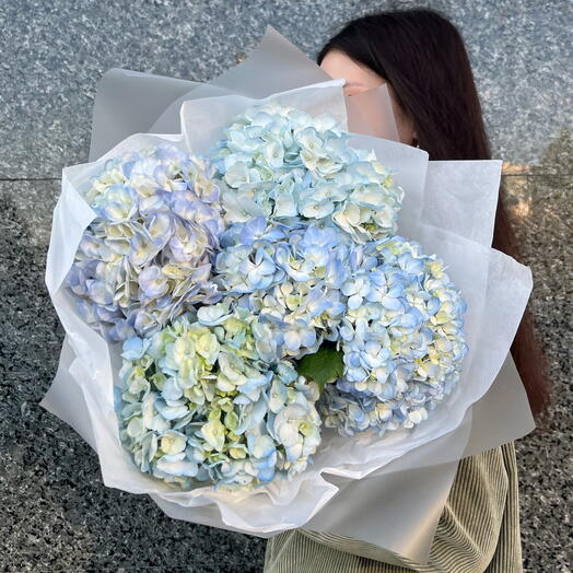 Sky-colored hydrangea monobucket